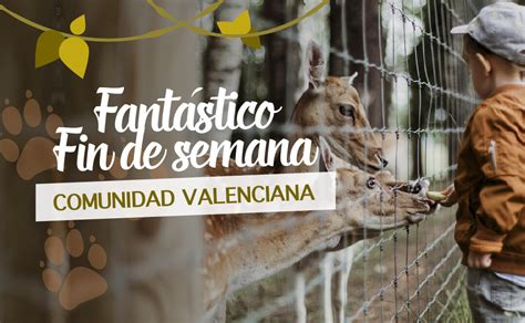 escapada con nios comunidad valenciana|Las 10 mejores cosas que hacer con niños en Comunidad。